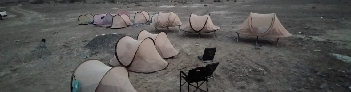 Mosquito Nets
