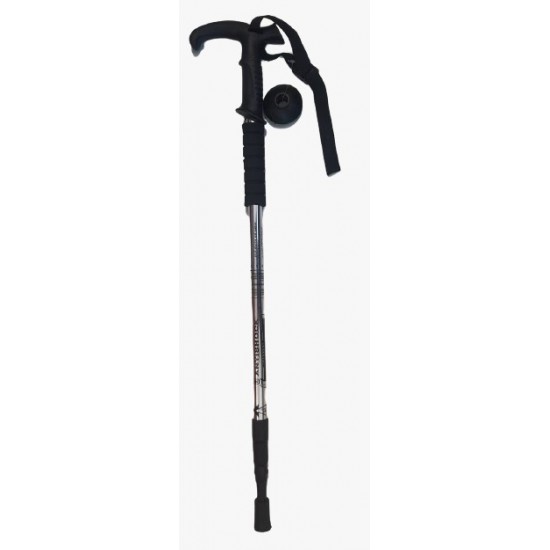 Hiking Stick